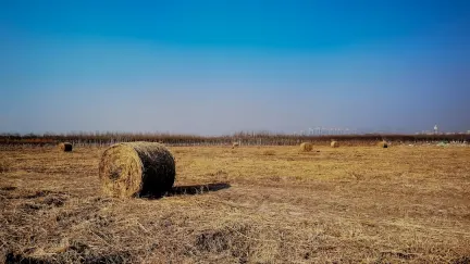 Casino Slot Shack App Mobile